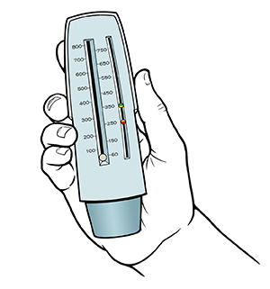 Hand holding peak flow meter.